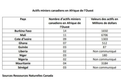 Burkina Faso : 14 actifs miniers présents sur le sol burkinabé